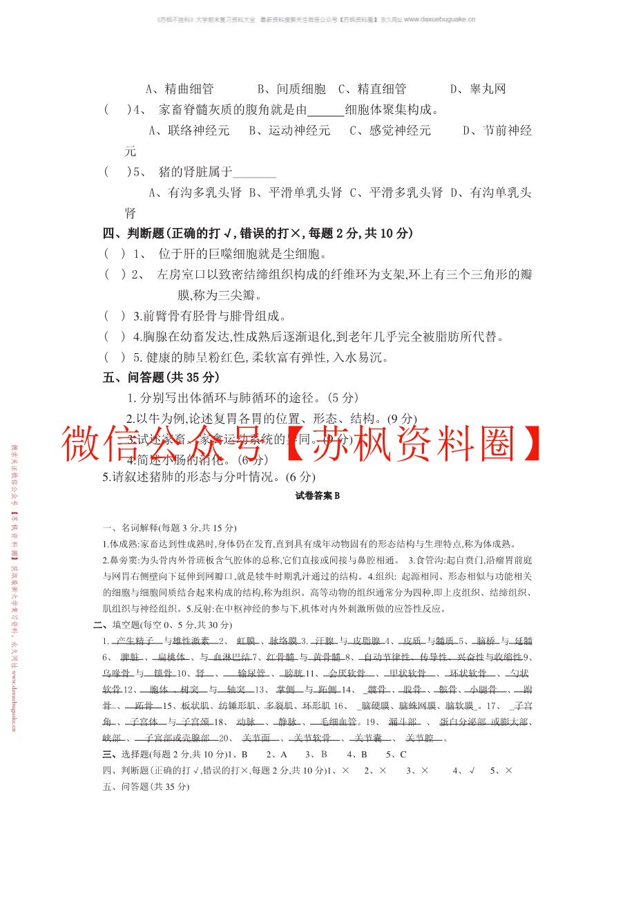 动物解剖生理学